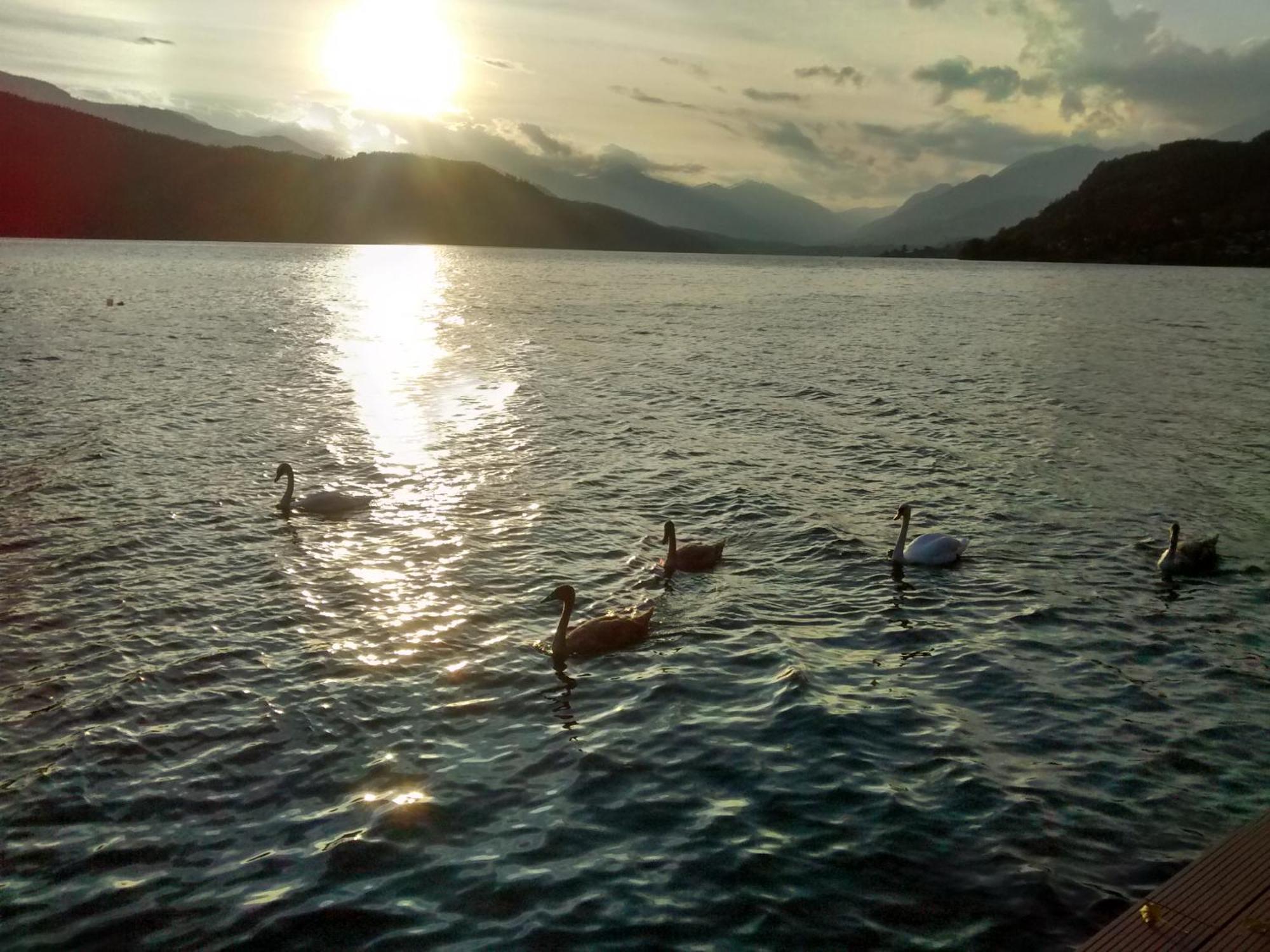 Ferienwohnungen Fischerhaus - Direkt Am See Millstatt Exteriör bild
