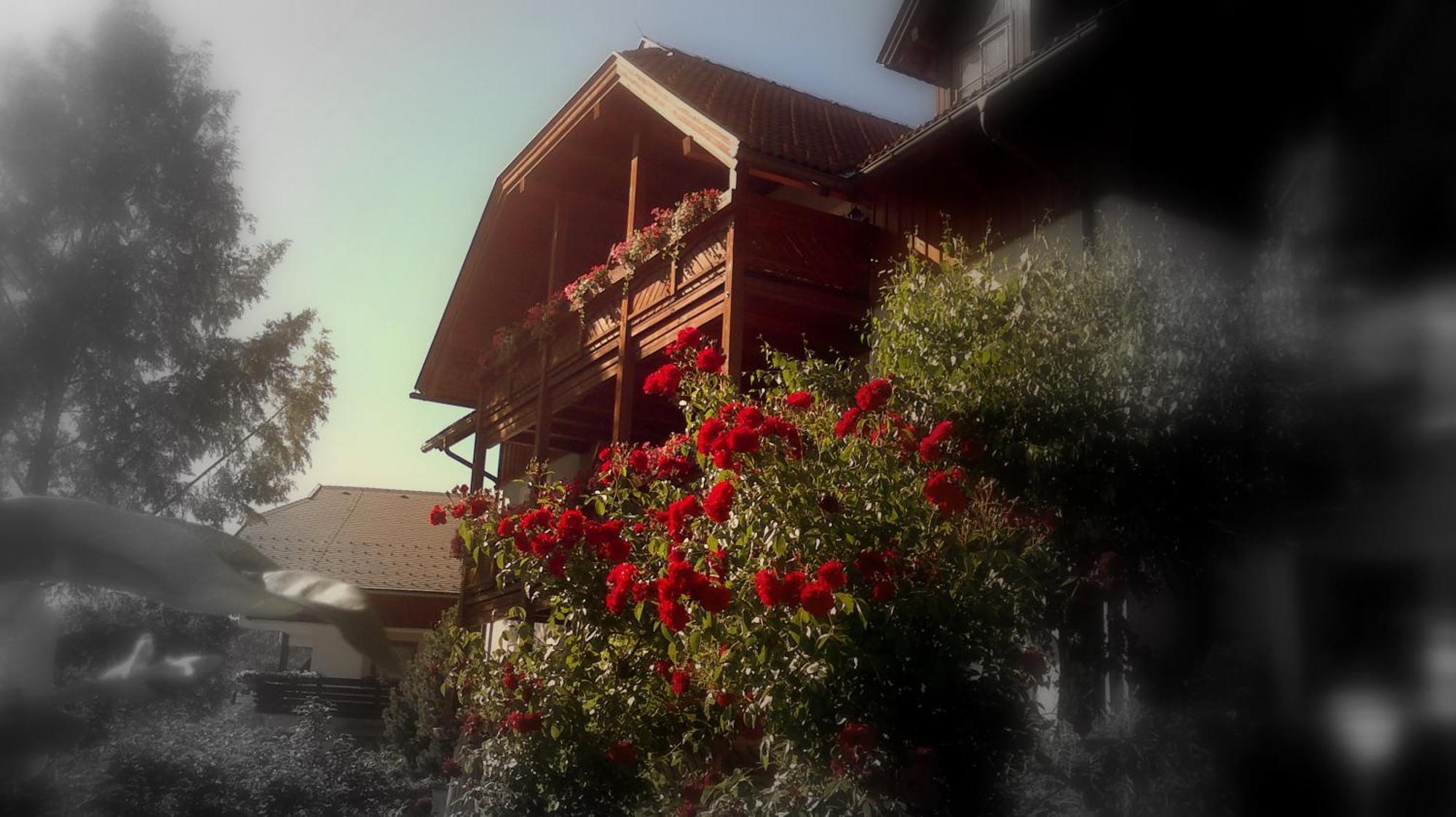 Ferienwohnungen Fischerhaus - Direkt Am See Millstatt Exteriör bild