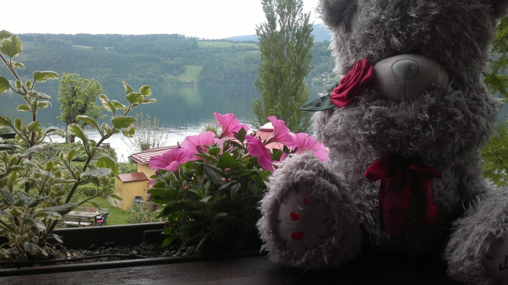 Ferienwohnungen Fischerhaus - Direkt Am See Millstatt Exteriör bild