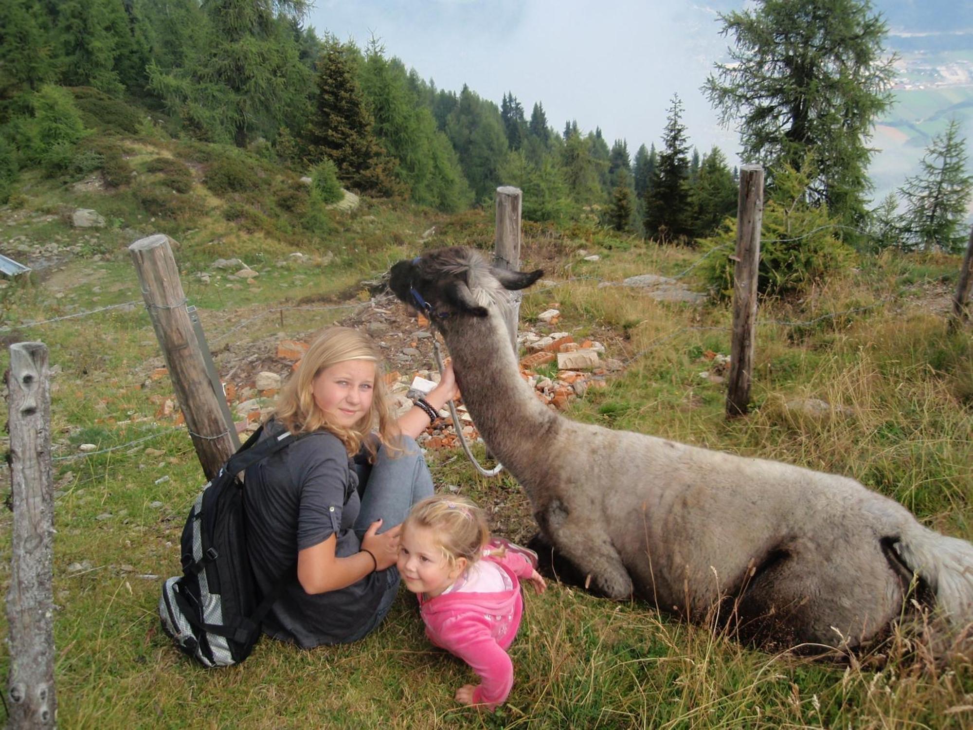 Ferienwohnungen Fischerhaus - Direkt Am See Millstatt Exteriör bild
